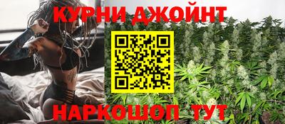 гашик Кунгур