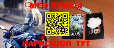 гашик Кунгур