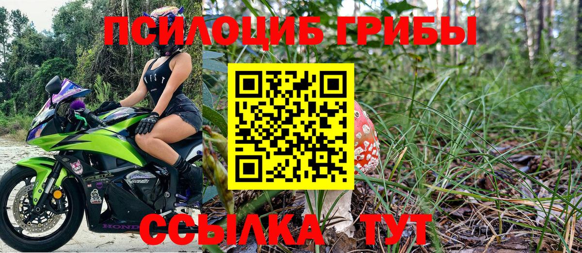 Галлюциногенные грибы GOLDEN TEACHER Каменка