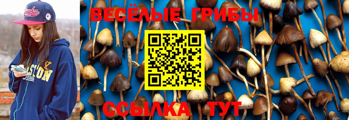 закладка  Вход с VPN  Каменка  Галлюциногенные грибы мухоморы  Псилоцибиновые грибы ЛСД 